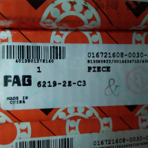 FAG 6219-2Z
