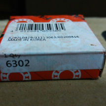FAG 6302