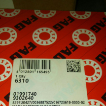FAG 6310