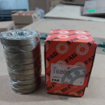 FAG 16005