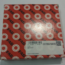 FAG 51117