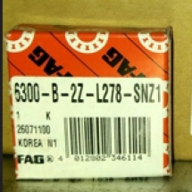FAG 6300-B-2Z-L278-SNZ1