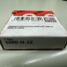 FAG6000-H-2Z#E