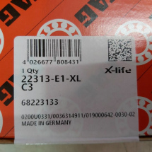 FAG 22313-E1-XL-C3