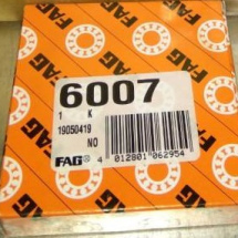 FAG 6007