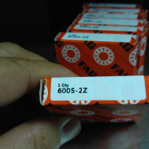 FAG 6005-2Z