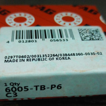 FAG 6005-TB-P6-C3