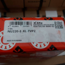 FAG NU220-E-XL-TVP2
