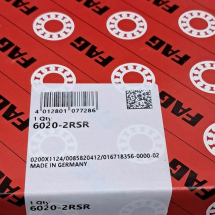 FAG 6020-2RSR